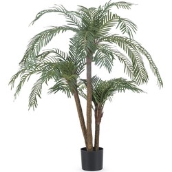 Greenmoods Palm Cycas Classic - Cycas revoluta - Nep plant - 1 Stuk - 135cm