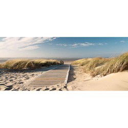 Tuinposter houten pad in duin 110x45 sterren