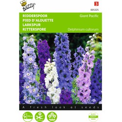 2 stuks - Delphinium cultorum Giant Pacific