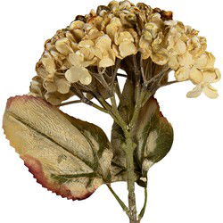 Clayre & Eef Kunstbloem 47 cm Beige Kunststof