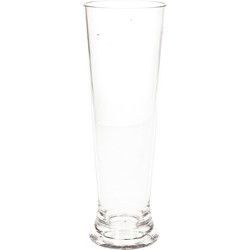 Bierglas - transparant - op voet - kunststof - 30 cl - 300 ml - Bierglazen