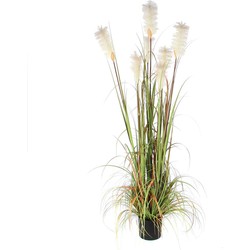 Mica Decorations Pluimgras Foxtail Kunstplant - H180 x Ø80 cm