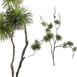 PTMD Twig Plant Dennenhout Kunsttak - 60 x 70 x 72 cm - Lichtgroen