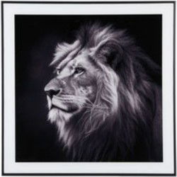 Wanddecoratie Lion - Zwart - 2x50x50cm