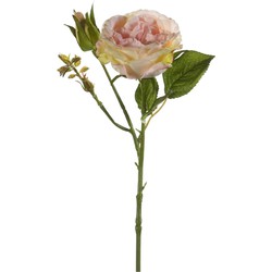 Emerald Kunstbloem roos Anne - perzik roze - 37 cm - decoratie bloemen - Kunstbloemen