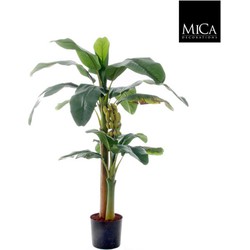 Mica Decorations bananenboom maat in cm: 120 x 90 in plastic pot