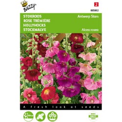 5 stuks - Althaea Antwerp Stars mix Tuinplus