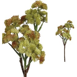 PTMD Succulent Plant Vetkruid Kunsttak - 23 x 16 x 38 cm - Geel/Groen