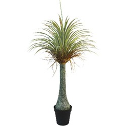 Künstliche Pflanze Yucca 140 cm - Buitengewoon de Boet