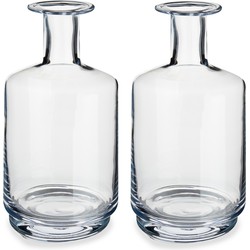 Set van 2x stuks bloemenvazen flesvorm van glas 17 x 28 cm - Vazen