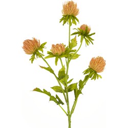 Greenmoods Kunstbloem Distel - Cirsium - Nep plant - 1 Stuk - 66cm - Perzik