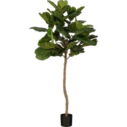 Mica Decorations Ficus Lyrata Kunstplant - H165 x Ø95 - Groen