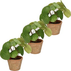 3x Groene kunstplanten pilea plant in pot 25 cm - Kunstplanten