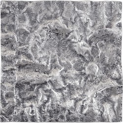 PTMD Wandpaneel Eogan - 50x5x50 cm - Aluminium - Metaal