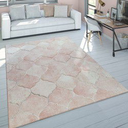 Laagpolig Vloerkleed Lareva - Barok Design - Roze - 120x170 cm