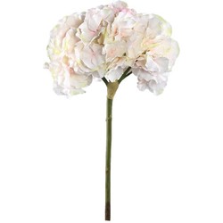 PTMD Kunstbloem Hortensia - 16x28x54 cm - Kunststof - Creme/roze