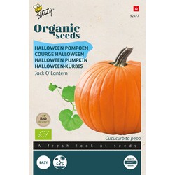 Organic Pompoen Jack O'Lantern (BIO)