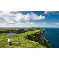 Sanders & Sanders fotobehang landschap van Ierland groen en blauw - 450 x 280 cm - 612629
