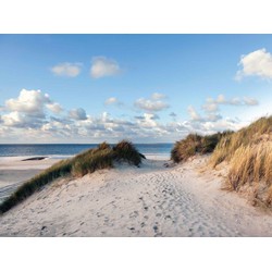 Duinen zee 70x50cm Tuinschilderij