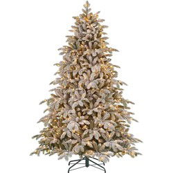 Black Box Kunstkerstboom Bridgeton - 155x155x230 cm - PVC/Polyethyleen - Bevroren Groen - 400LED