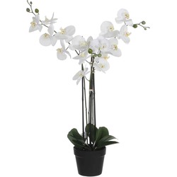 Mica Decorations Phalaenopsis Kunstplant - L65 x B45 x H75 cm