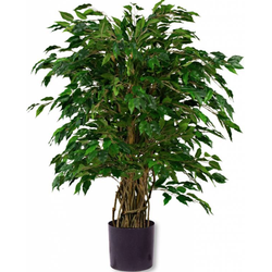 Hoyz Greenery - Kunstplant Ficus Liana 120 cm