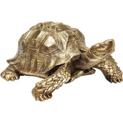 Kare Decofiguur Turtle Gold XL
