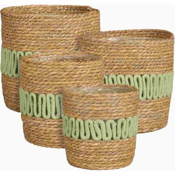 Mica Decorations Mand Fernandez - 25x25x25 cm - Zeegras - Licht Groen - Set van 4