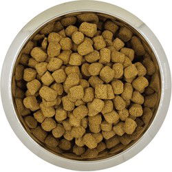 YOURDOG KONINGSPOEDEL SENIOR 12 KG