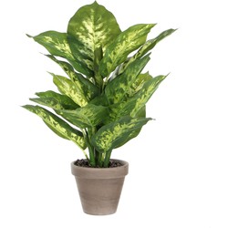 Mica Decorations Dieffenbachia Kunstplant in Bloempot Stan - H40 x Ø30 cm - Groen