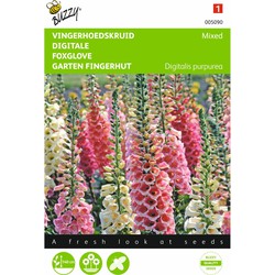 2 stuks - Digitalis purpurea Gemengd