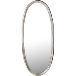 PTMD Spiegel Limera - 50x3x120 cm - Aluminium - Messing