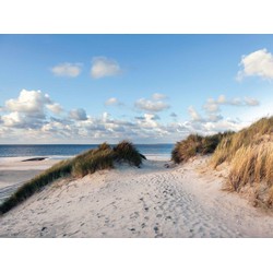 Duinen zee 70x50cm Tuinschilderij - Customize-it