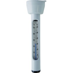 Zwembad Thermometer - Intex