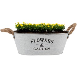 DK Design plantenpot/bloempot teil Jardin- zink - wit - L30 x D20 x H12 cm - Plantenbakken