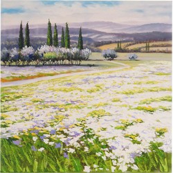 Cosmo Casa Olieverfschilderij - Bloemrijk Landschap - 100% Handgeschilderd - Muurschildering - Schilderij XL - 80x80cm