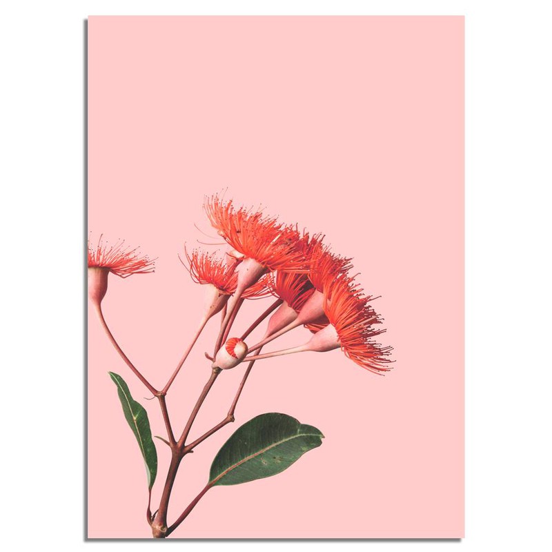 Rode bloemen poster - Bloemstillevens - Rood  - A4 poster (21x29,7cm) - 