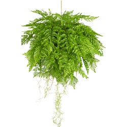 Greenmoods Hangplant Varen met wortels - Nephrolepis exaltata - Kunstplant - 1 Stuk