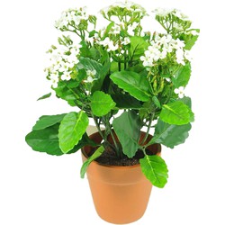 Greenmoods Kunstbloem Kalanchoe - Kalanchoe blossfeldiana - Nep plant - 1 Stuk - 31cm - Wit -