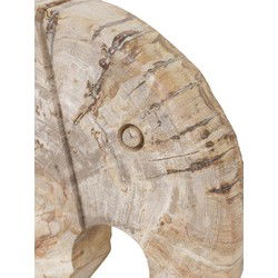 MUST Living Decoration Elephant large,±20x25x6 cm, petrified wood