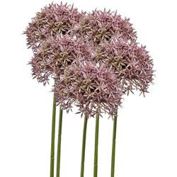 Emerald Allium/Sierui kunstbloem - 5x - losse steel - lila - 62 cm - Natuurlijke uitstraling - Kunstbloemen