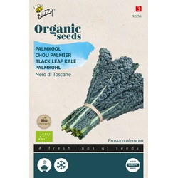 Organic Palmkool Nero di Toscana F1 (BIO)