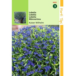 2 stuks - Lobelia Erinus Comp. Kaiser Wilhelm