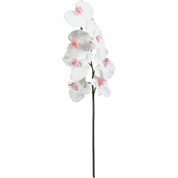 Witte kunstphalaenopsis orchideestengel H60