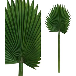 PTMD Leaves Plant Fan Palm Kunstblad - 35 x 34 x 94 cm - Groen