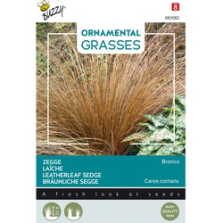 Ornamental Grasses, Carex comans 'Bronco'