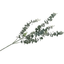 DK Design Kunstbloem Eucalyptus tak Real Touch - 88 cm - groen - Kunstbloemen