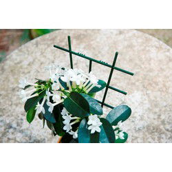3 stuks - Kamerplantenrekjes 28x17cm set a 2 stuks