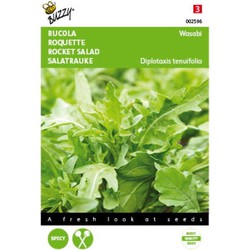 5 stuks - Rucola Wasabi Tuinplus