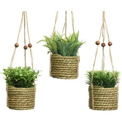 Hangmand plant pe d8h12cm groen a3 Everlands